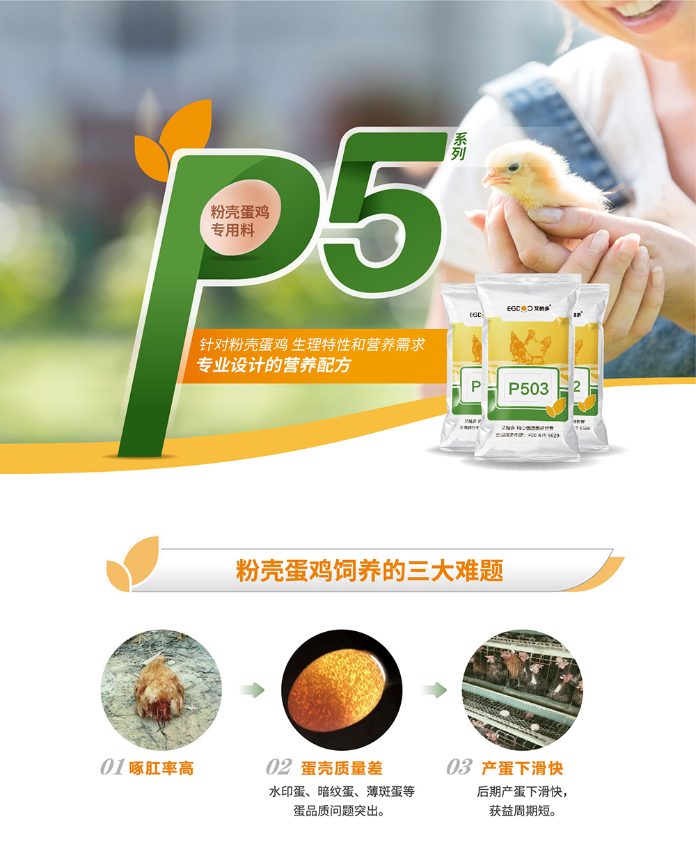 20220511粉殼蛋雞專(zhuān)用料P5系列_產(chǎn)品詳情頁(yè)_畫(huà)板 1