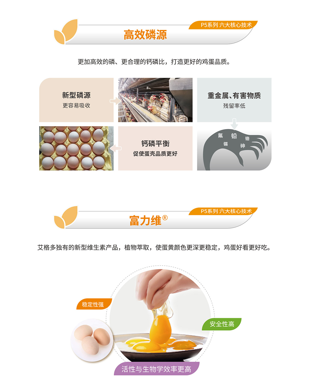 20220511粉殼蛋雞專(zhuān)用料P5系列_產(chǎn)品詳情頁(yè)_畫(huà)板 6