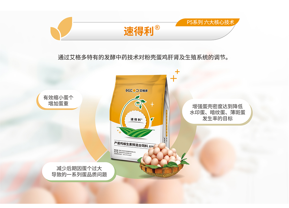 P5畫(huà)板 4@2x-100