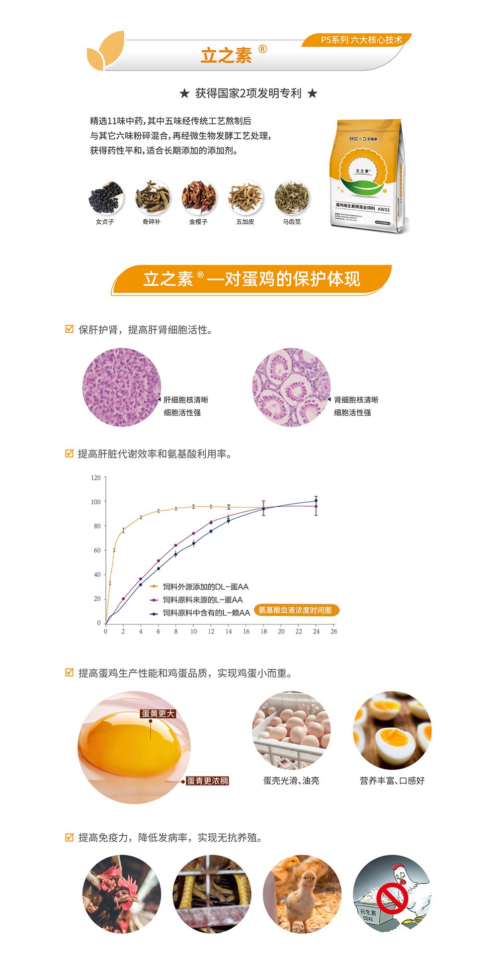 P5畫(huà)板 8@2x-100